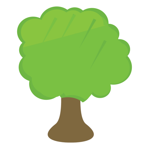 Baum
